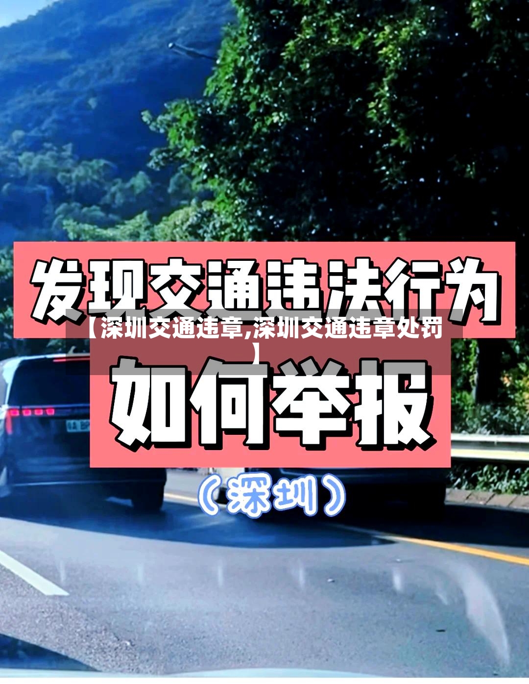 【深圳交通违章,深圳交通违章处罚】