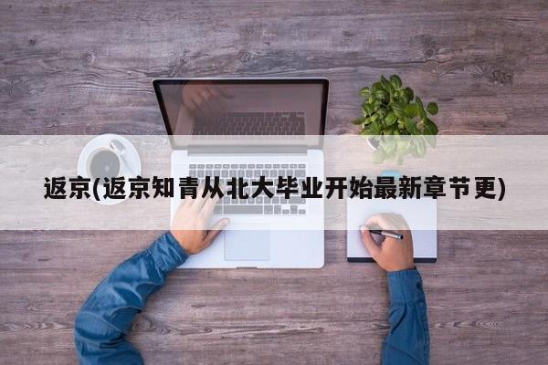 返京(返京知青从北大毕业开始最新章节更)