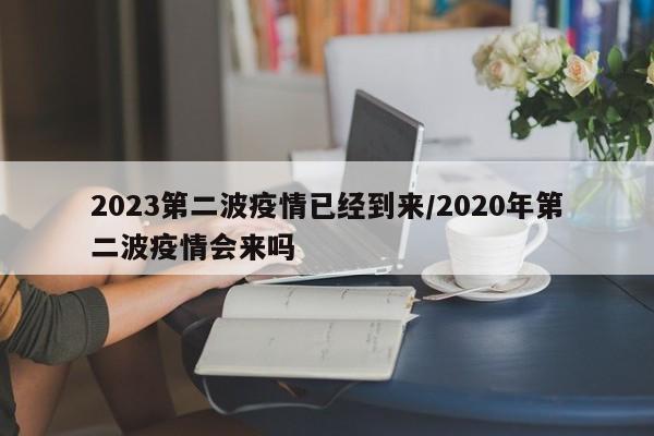 2023第二波疫情已经到来/2020年第二波疫情会来吗